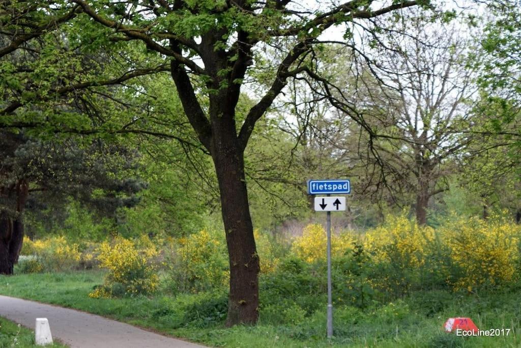 Huinerhofje 2 - Vrijstaand Met Grote Omheinde Tuin, Rust, Privacy En Nabij Bossen Villa Putten Luaran gambar