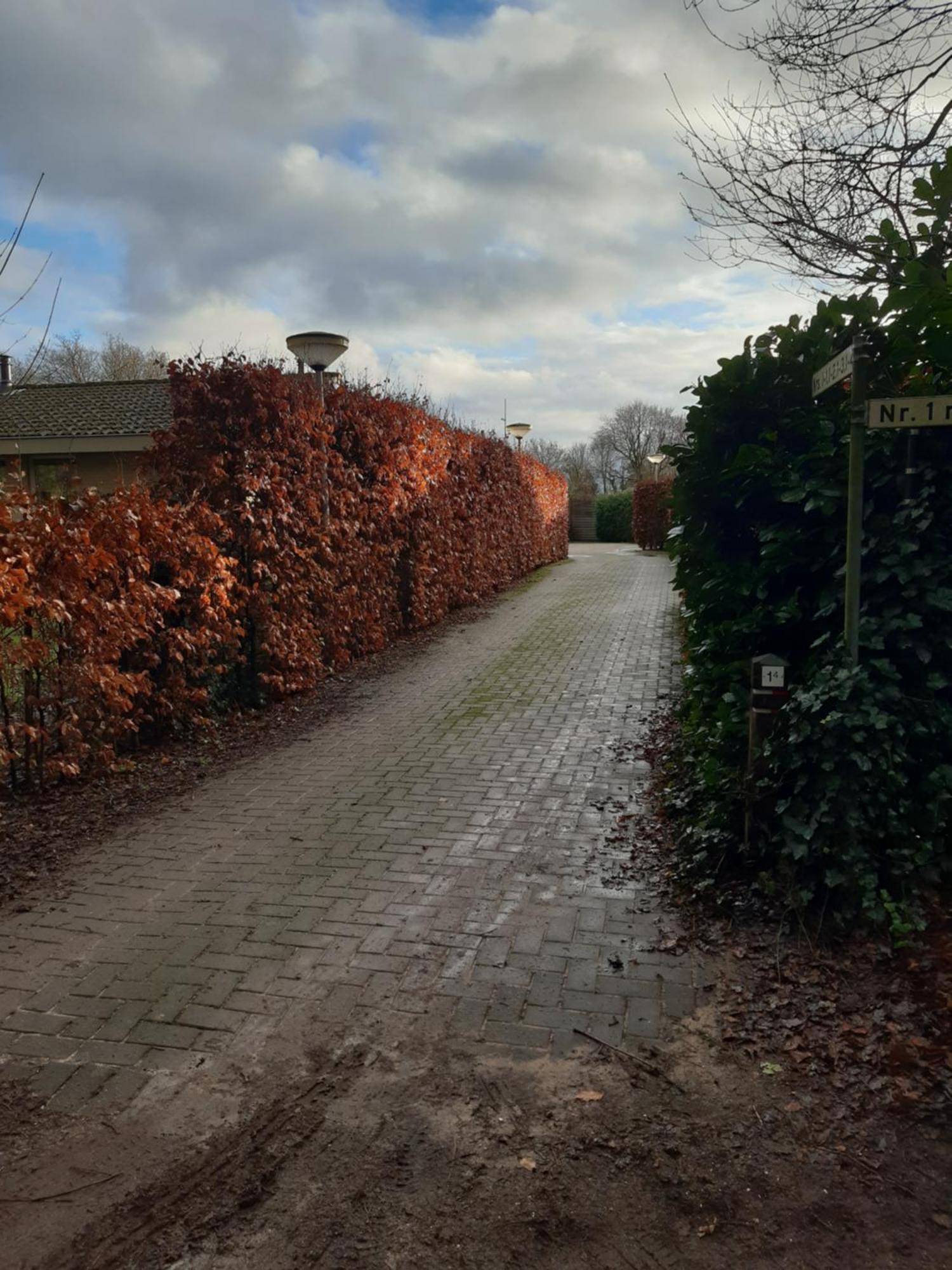 Huinerhofje 2 - Vrijstaand Met Grote Omheinde Tuin, Rust, Privacy En Nabij Bossen Villa Putten Luaran gambar
